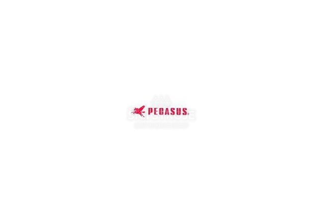 PEGASUS